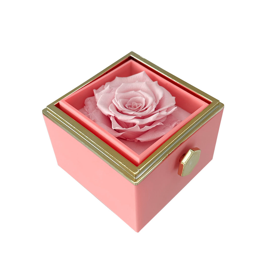 Amour – Eeuwige Roos Met Liefdesketting